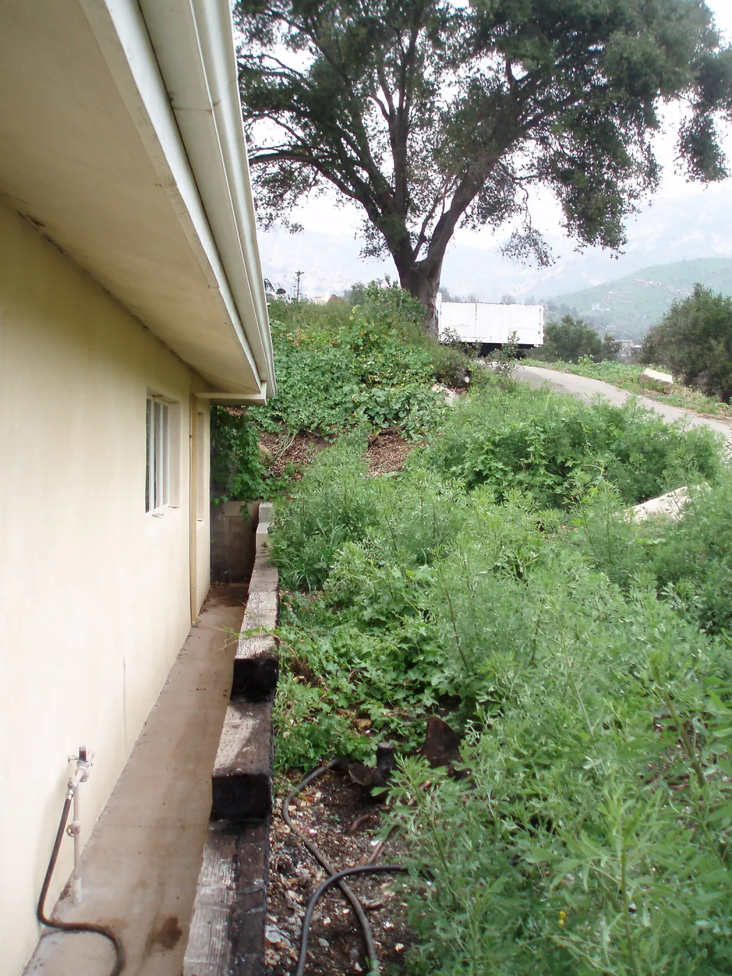 Hortuculture Unit, east side