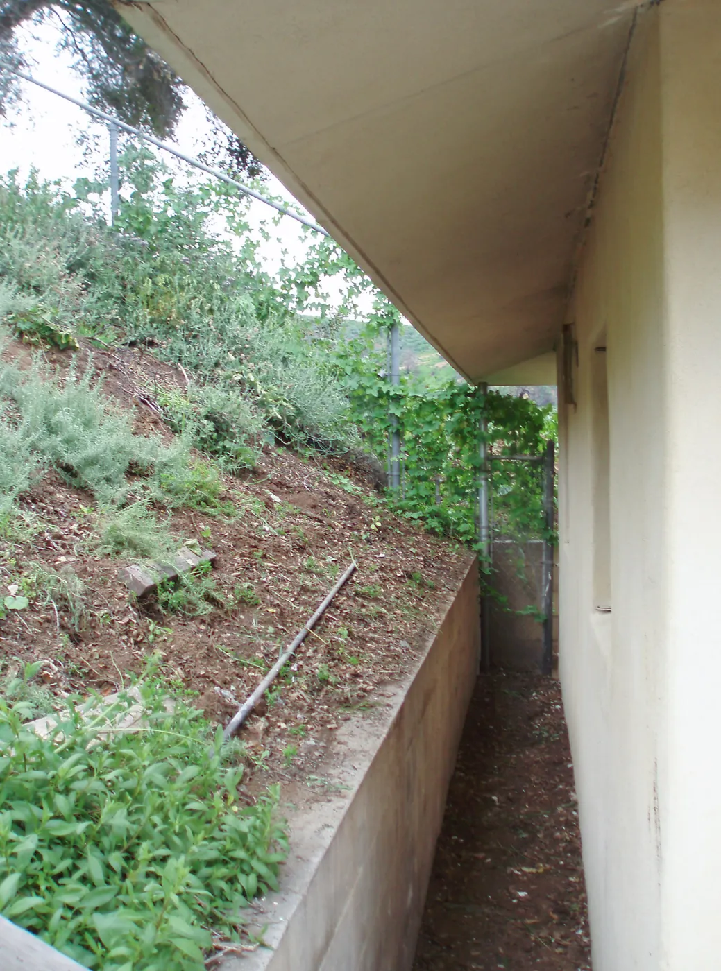 Horticulture Unit north side