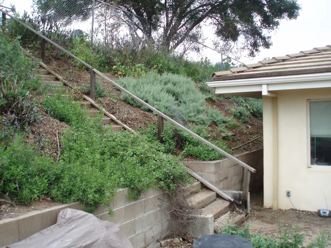 Stairs to upper parking area at north west corner of Horticulture Unit