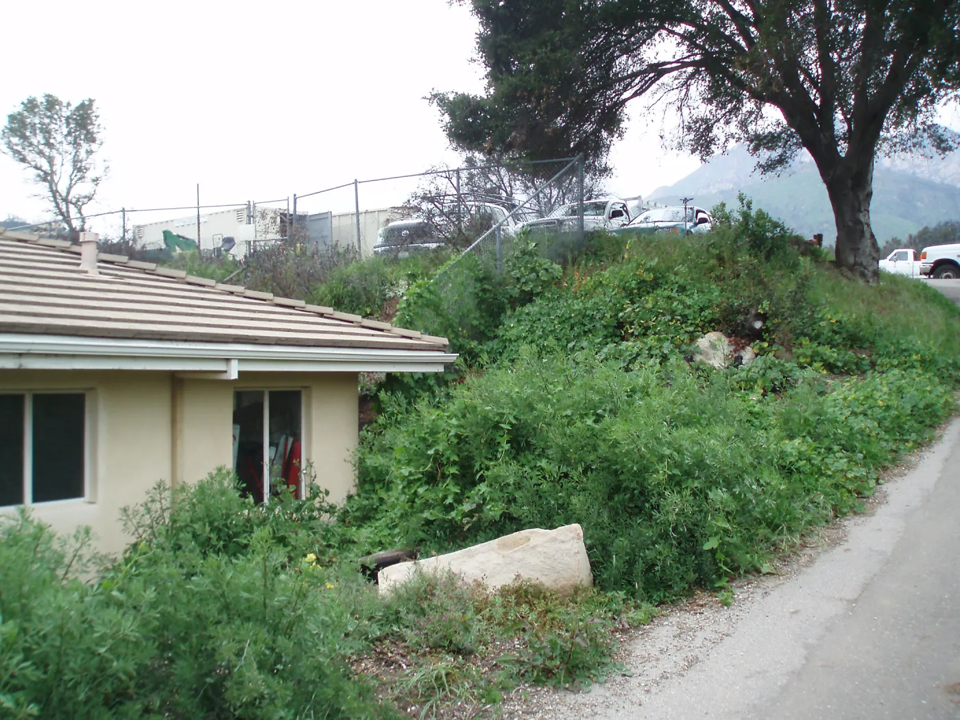 Horticulture Unit north east corner