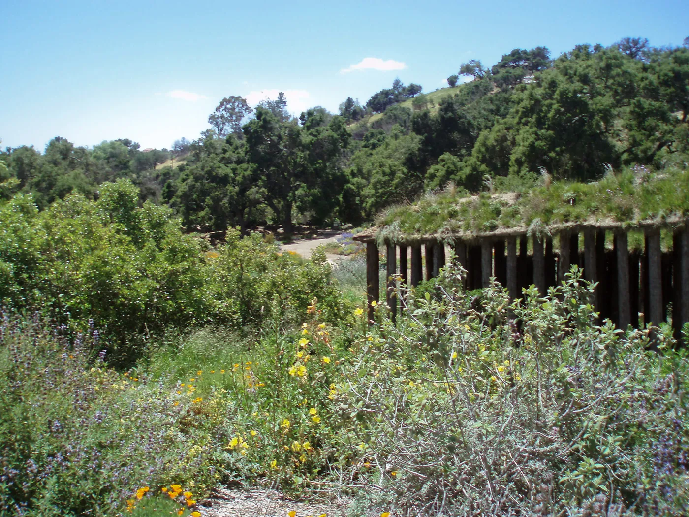 Herb Parker's â€˜Haven' labyrinth sculpture in Meadow