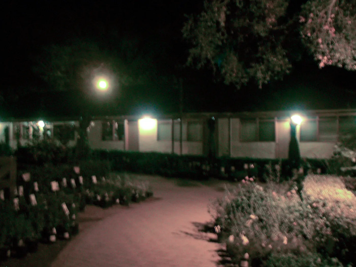Courtyard at night, looking east