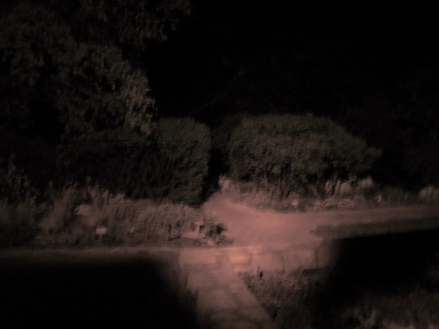 Home Demonstration Garden at night
