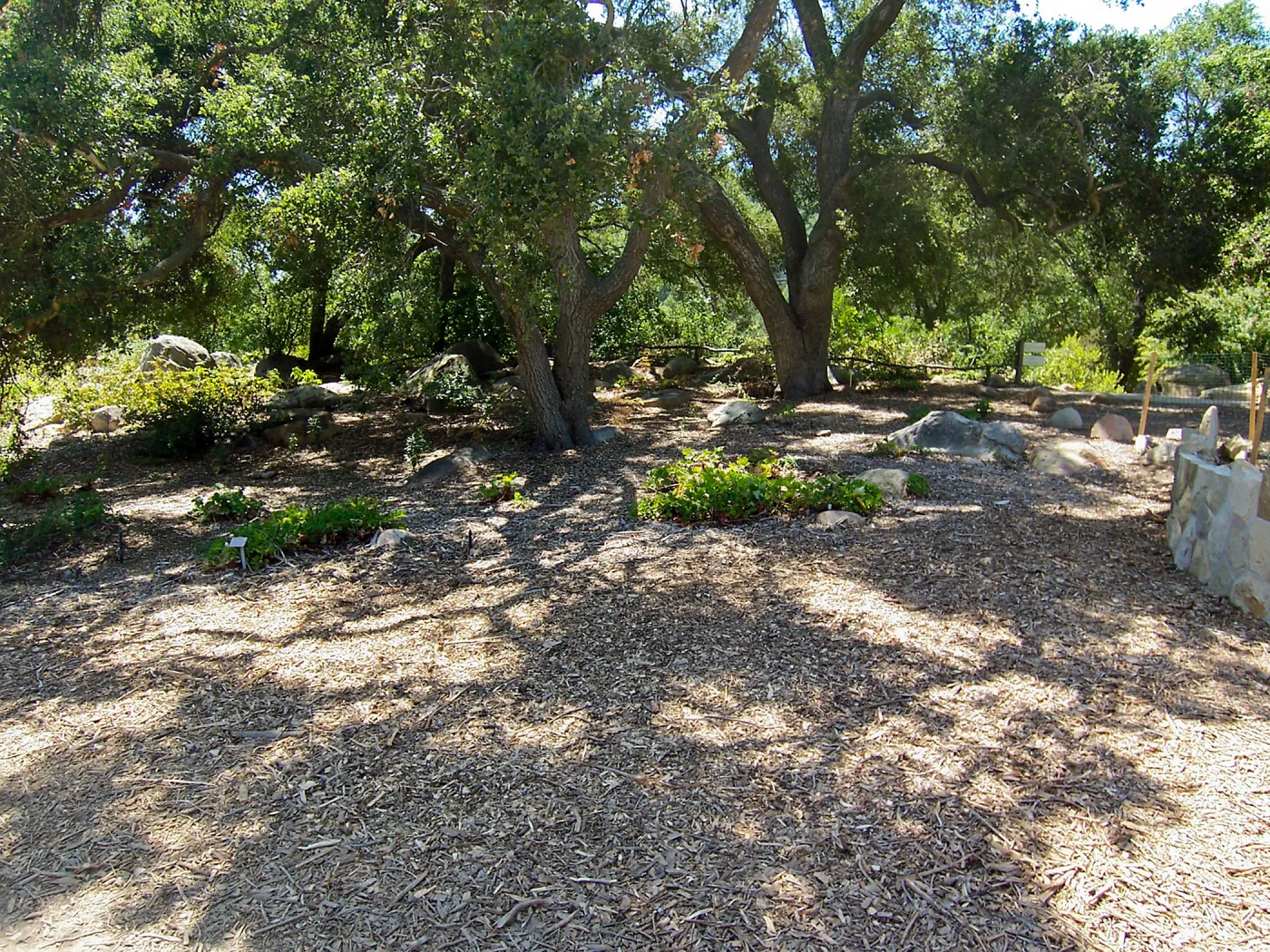 Meadow Terrace construction