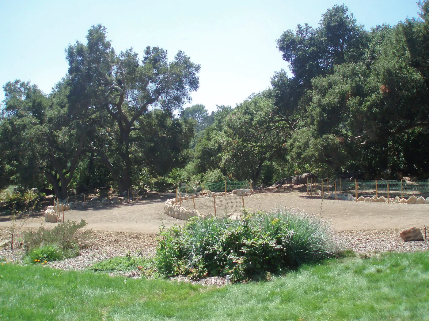 Meadow Terrace construction