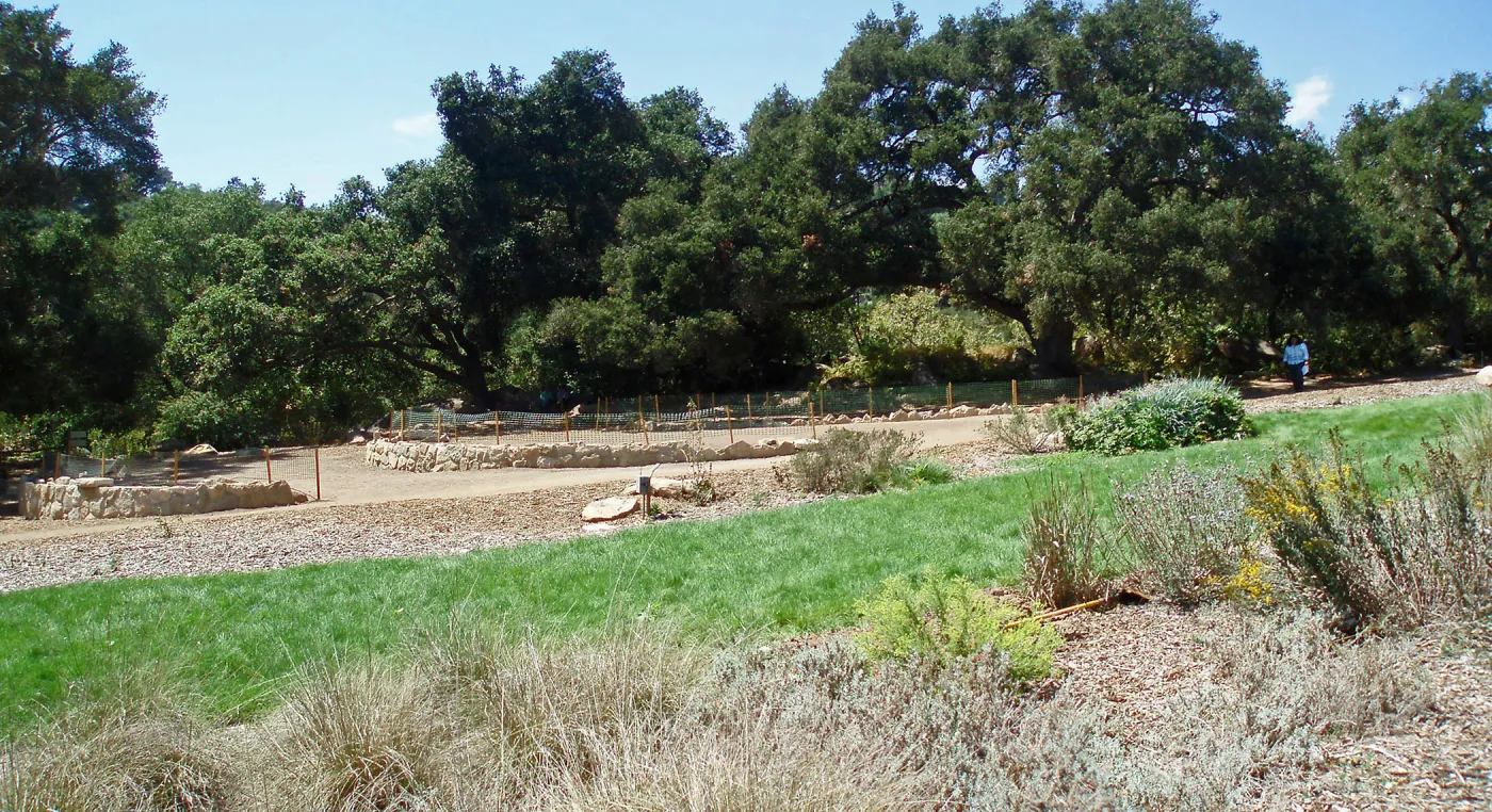Meadow Terrace construction