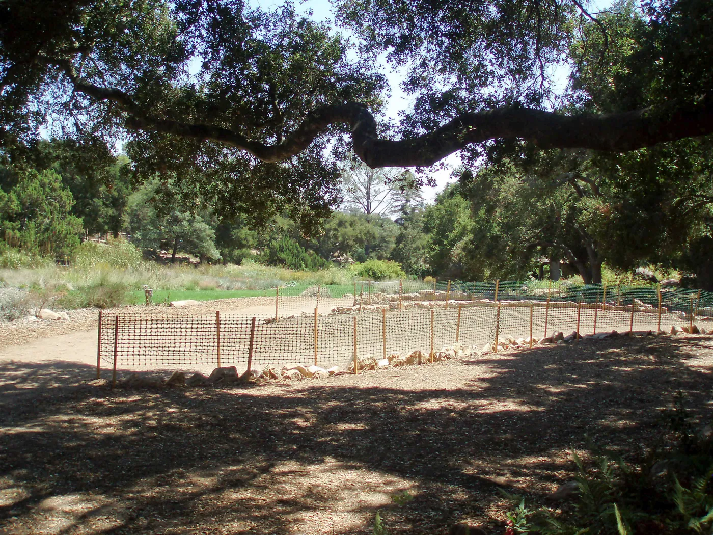Meadow Terrace construction