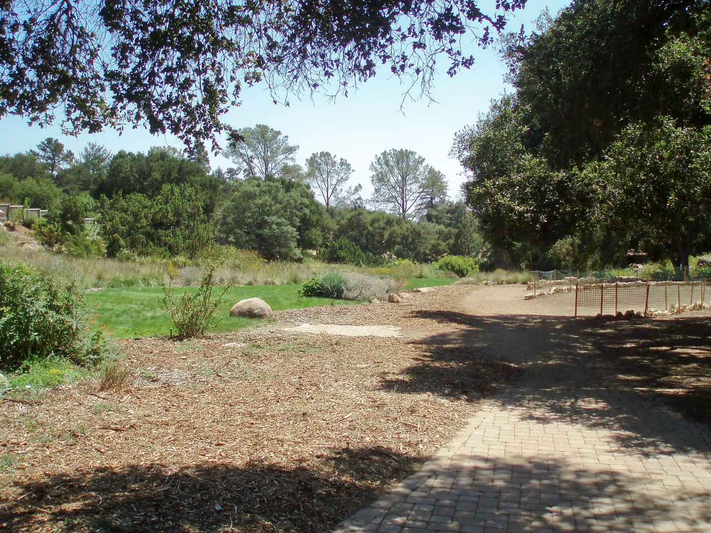 Meadow Terrace construction