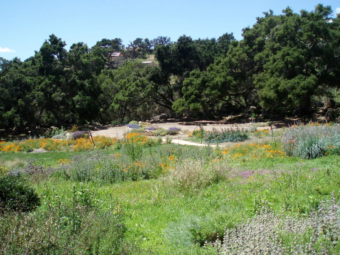 Meadow Terrace and Meadow