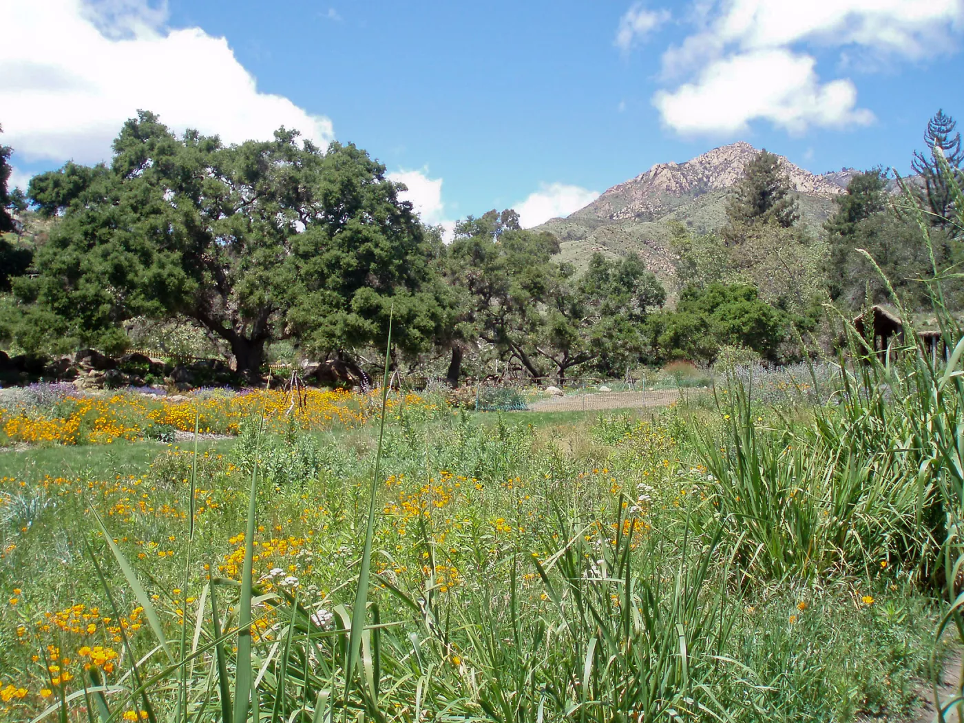 Meadow Terrace and Meadow