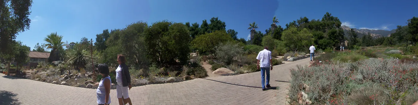 Desert Section and Groundcover Section panorama