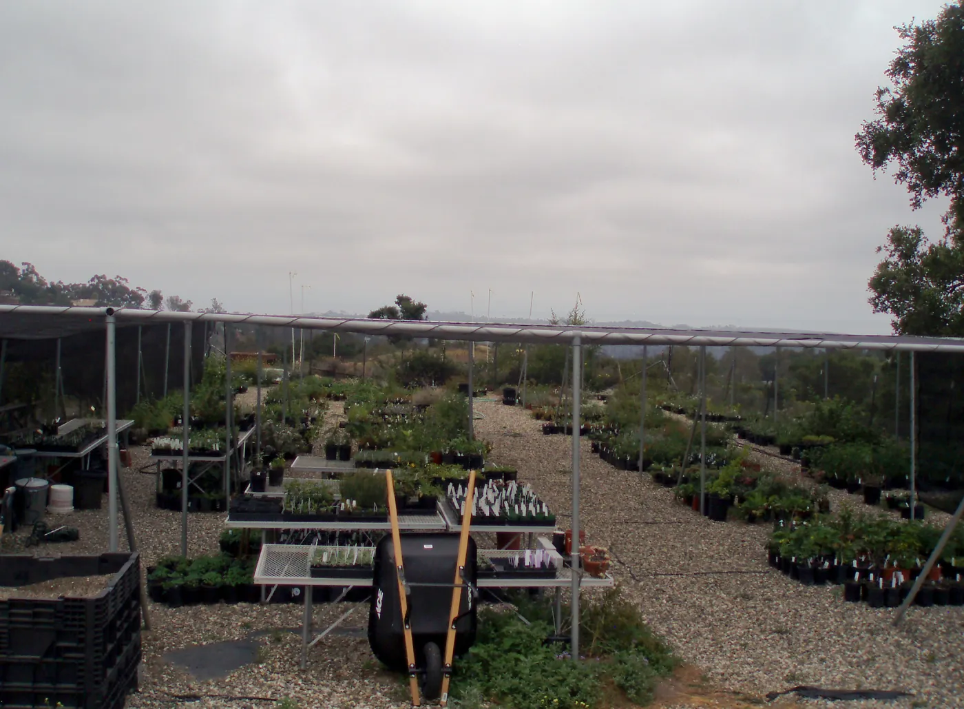 Pritzlaff Conservation Center story poles, view from Garden Growers Canyard