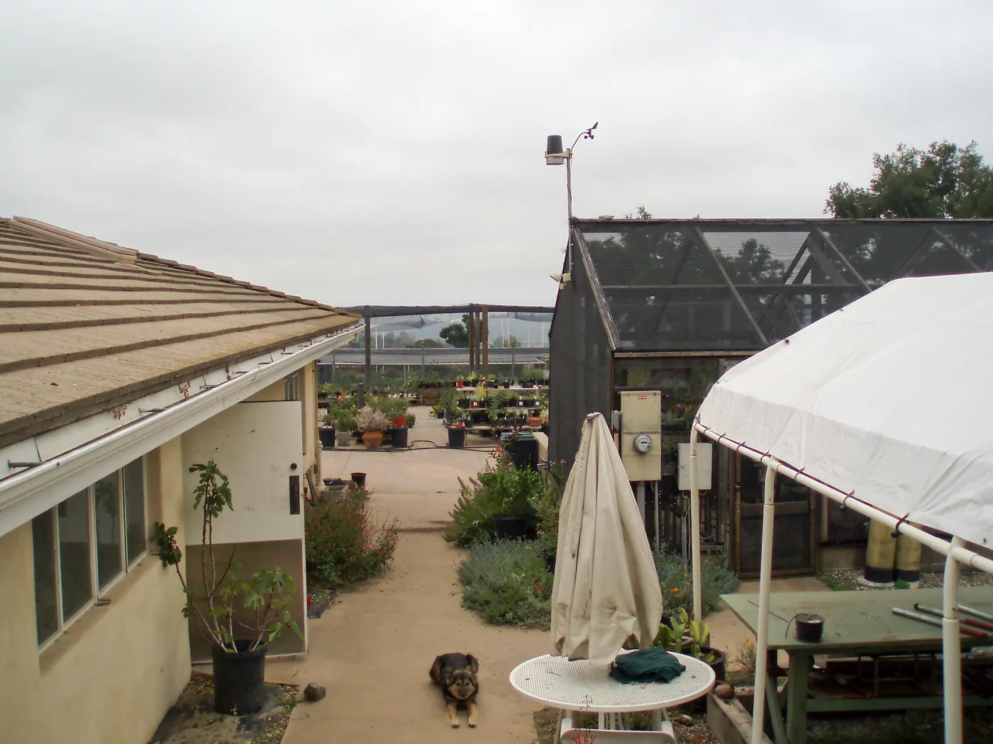 Pritzlaff Conservation Center story poles, view from Horticulture Unit
