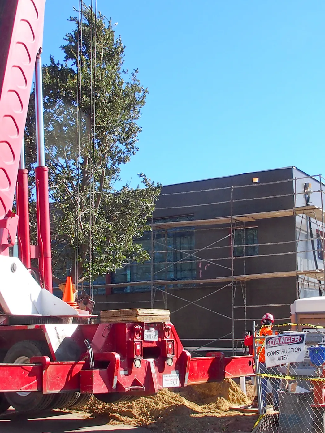 Installation of Island Oaks, flanking the entrance to the new Island Section at the Pritzlaff Conservation Center