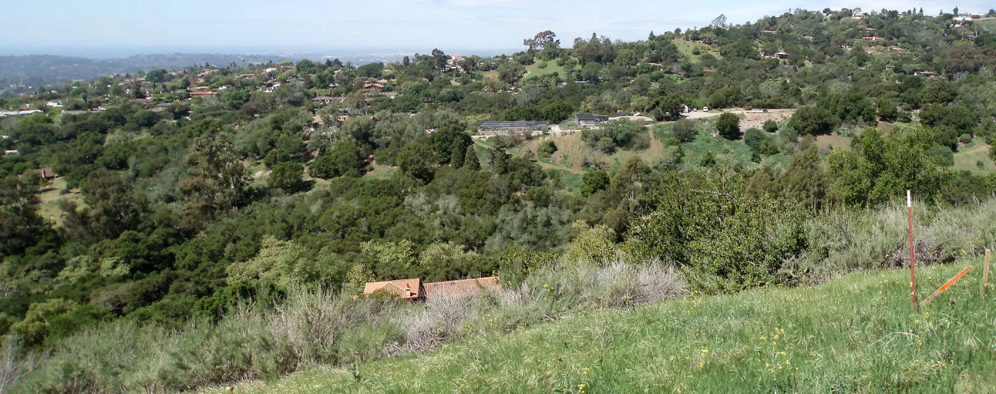 View towards west from Cavalli Ridge
