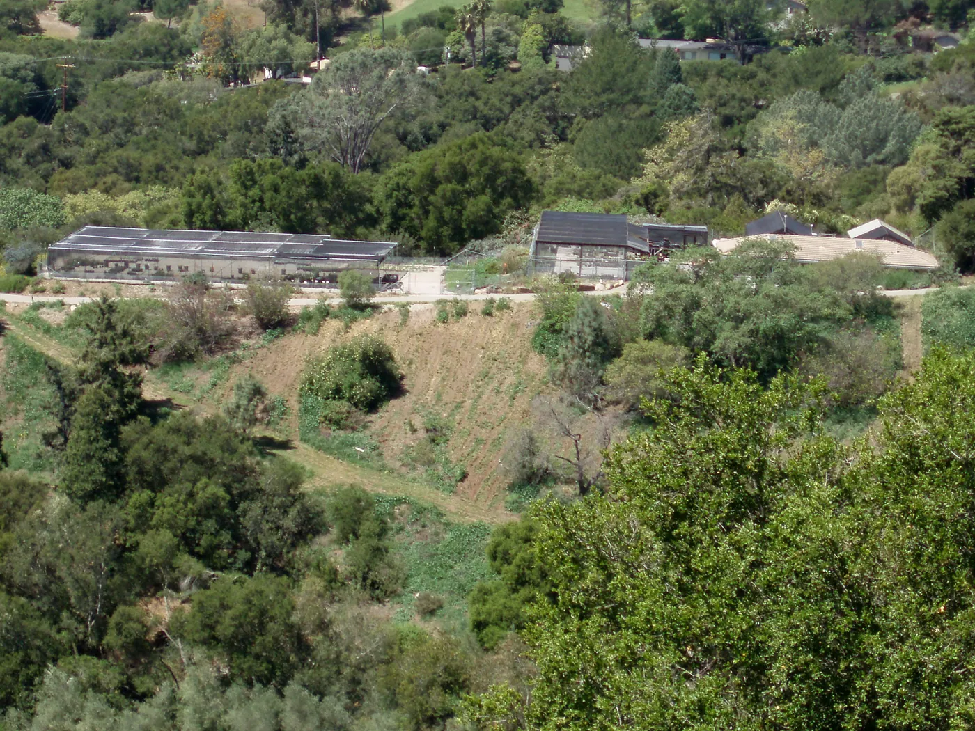 Canyard, Horticulture Unit, and East Slope from Cavalli Ridge