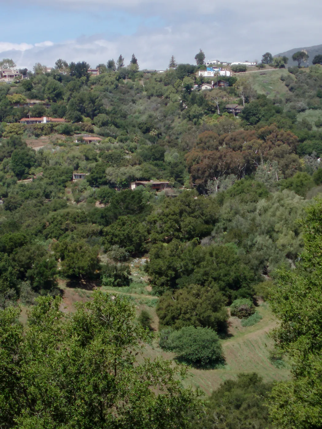 View towards northwest from Cavalli Ridge