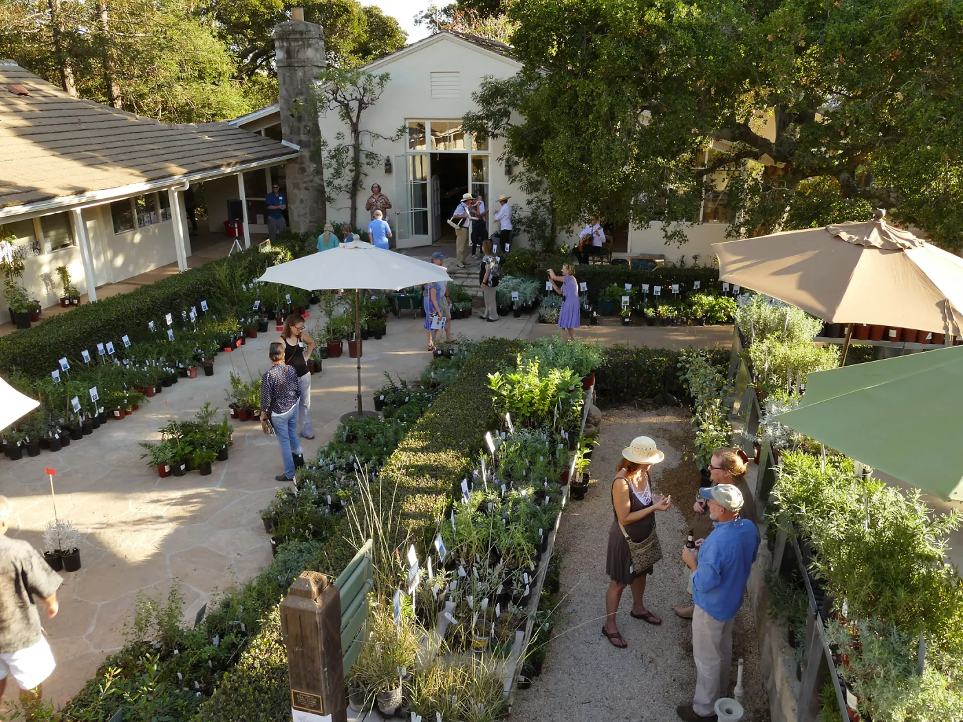 2017 Fall Plant Sale Preview Party