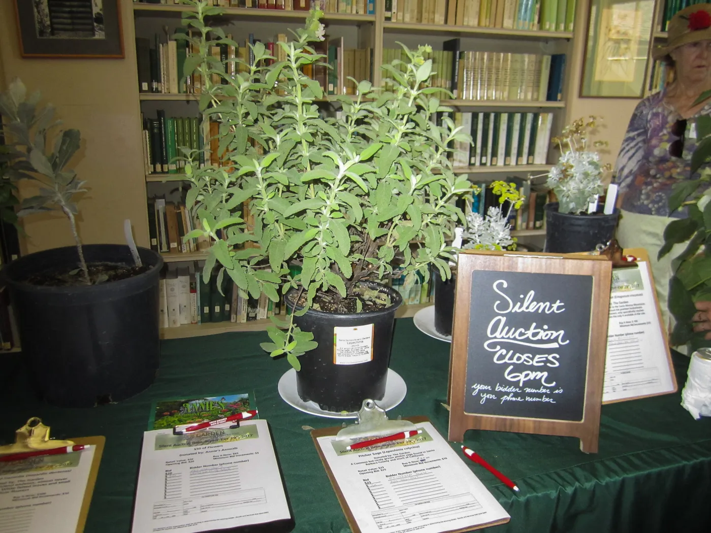 2017 Fall Plant Sale Preview Party, silent auction