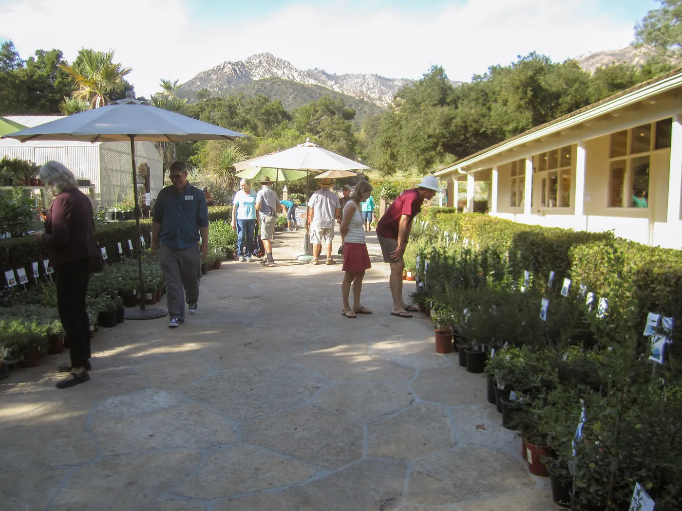 2017 Fall Plant Sale Preview Party