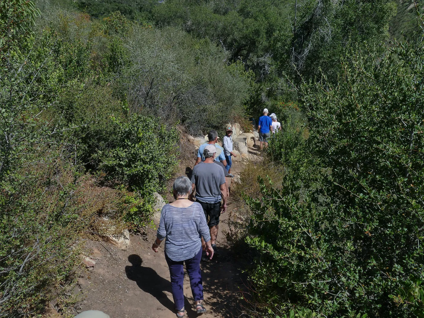 Tour of Pritchett Trail renovations