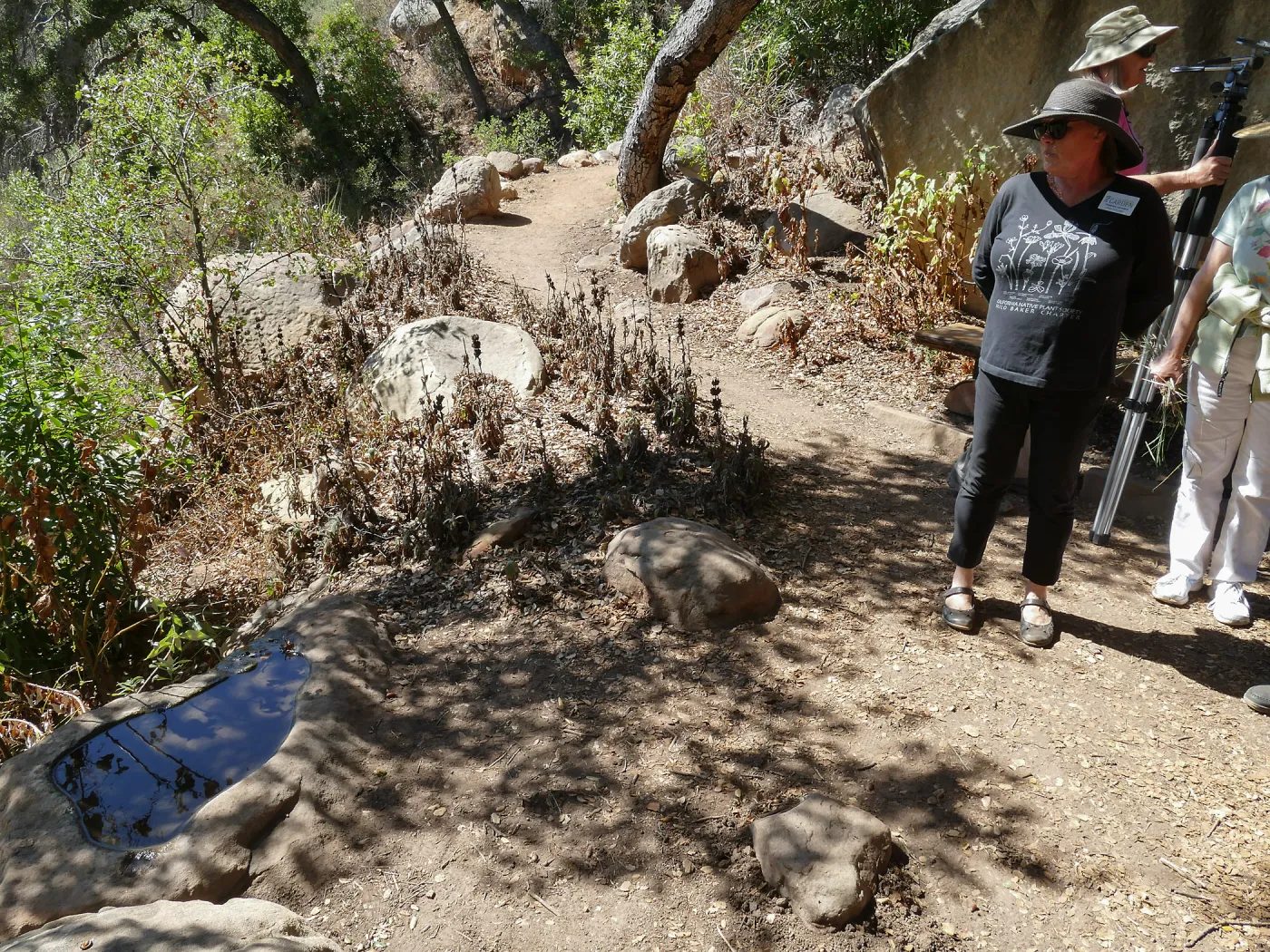 Tour of Pritchett Trail renovations, Eva Pritchett Birdbath, donated by Beatrix Farrand