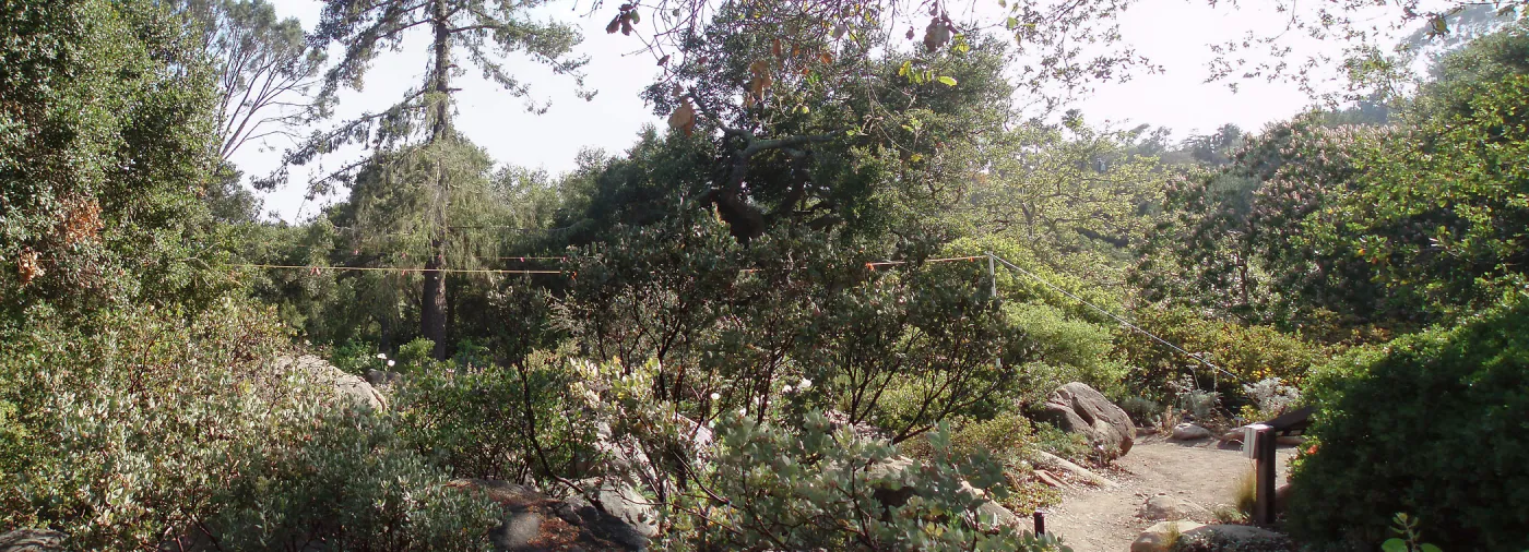 Story Poles, Manzanita Section, Vital Mission Plan