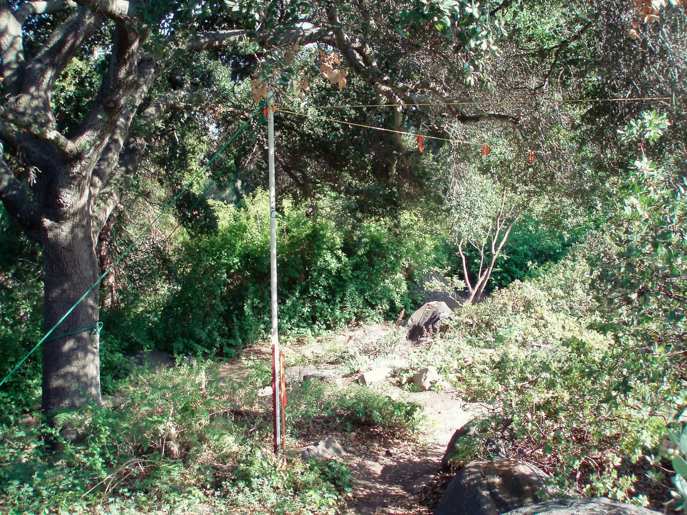 Story Poles, Manzanita Section, Vital Mission Plan