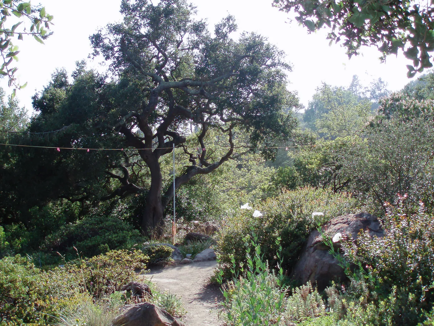 Story Poles, Manzanita Section, Vital Mission Plan