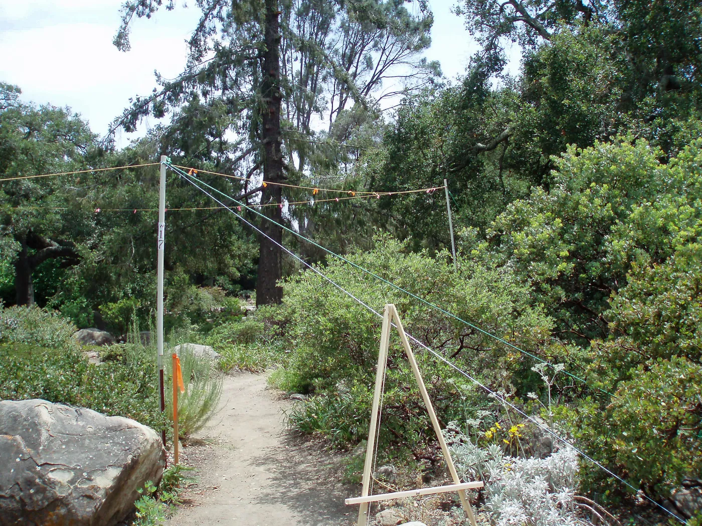Story poles, Manzanita Section, Vital Mission Plan