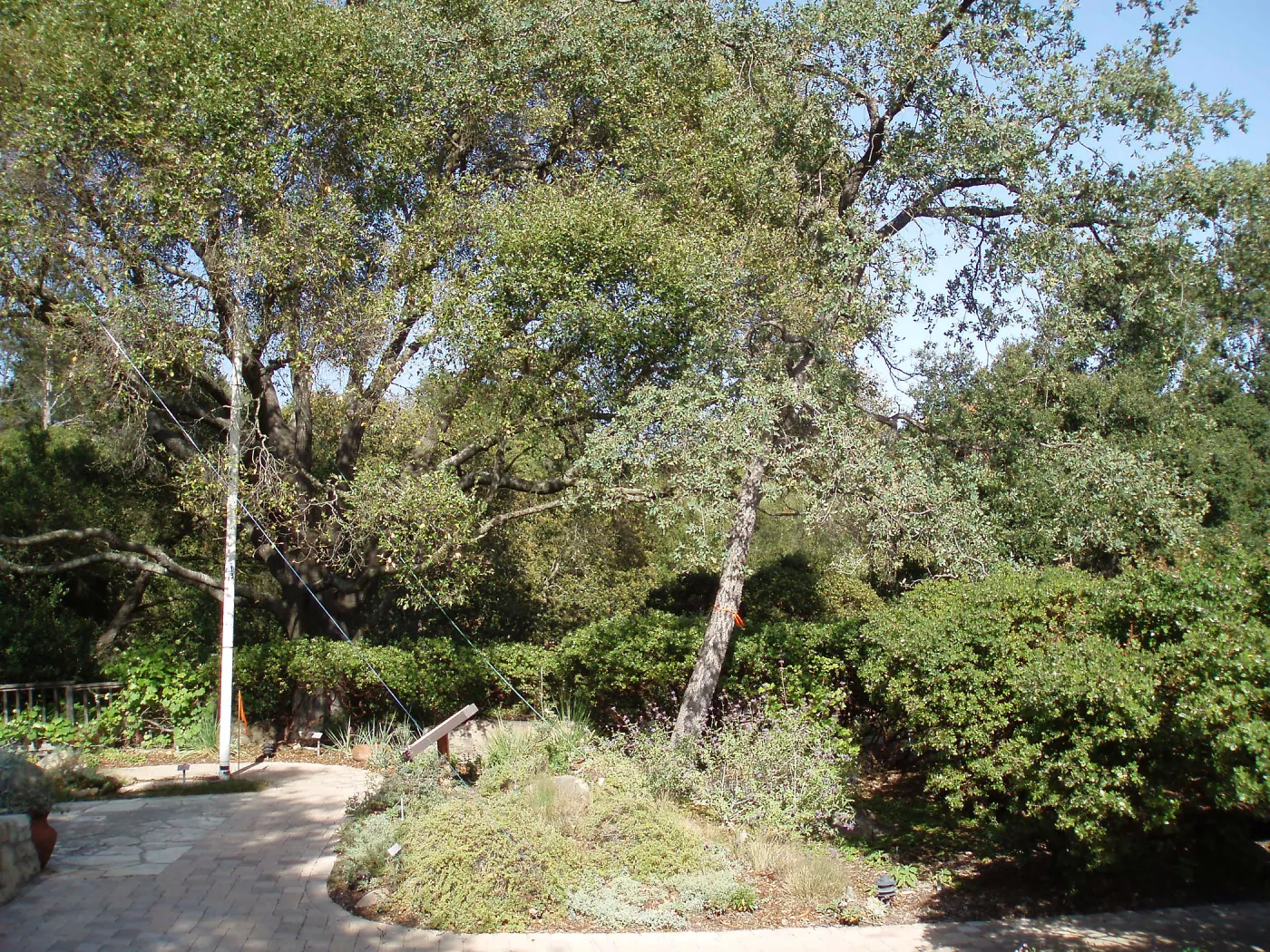 Story Poles, around Cottage, Vital Mission Plan