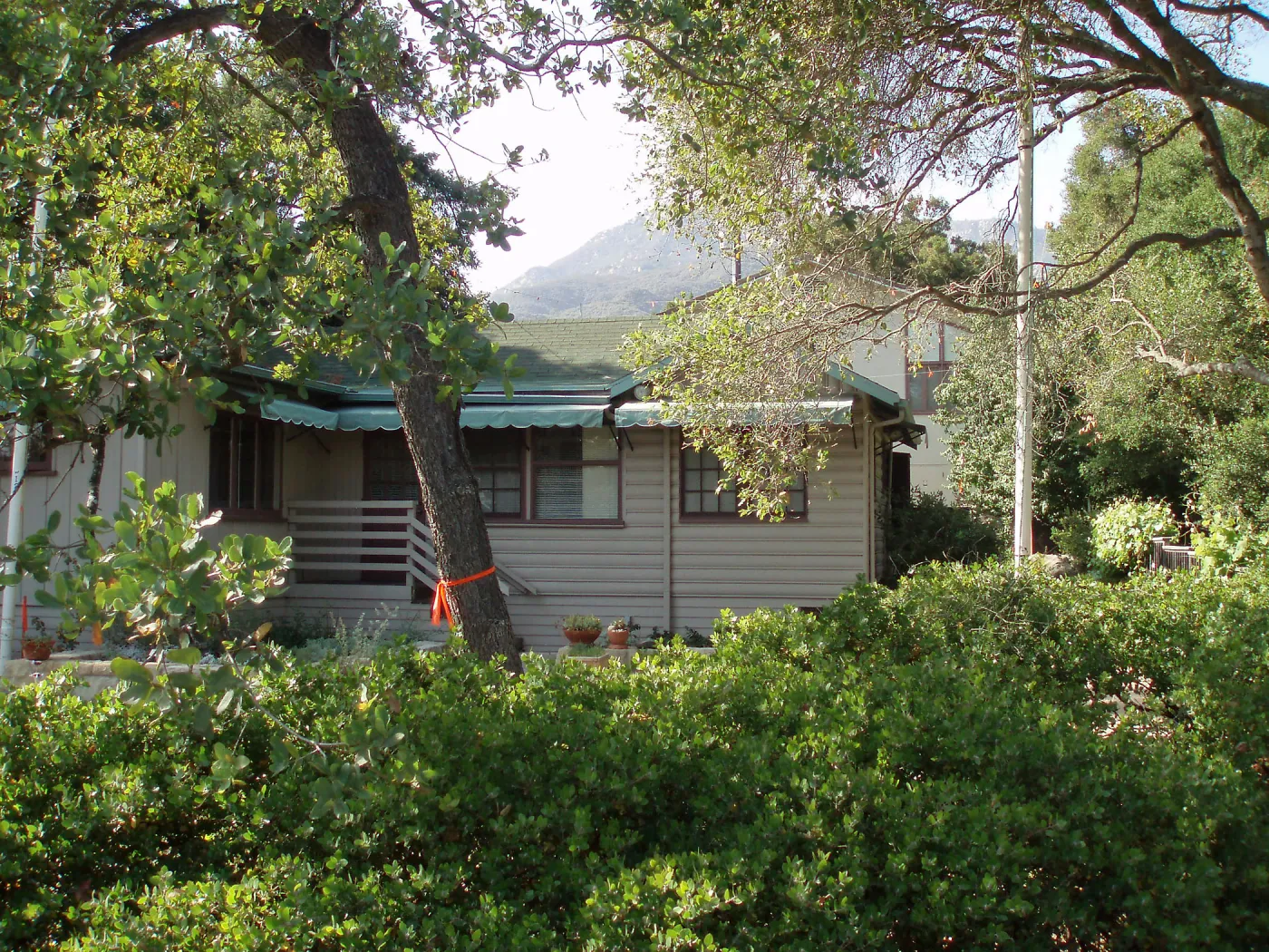 Story Poles, around Cottage, Vital Mission Plan