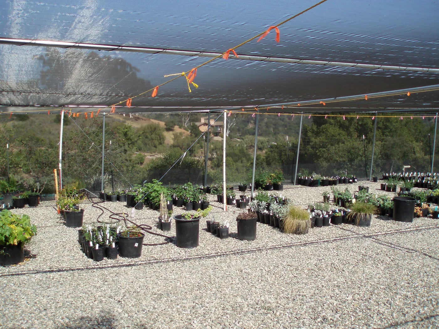 Story Poles, Garden Growers Canyard, Vital Mission Plan