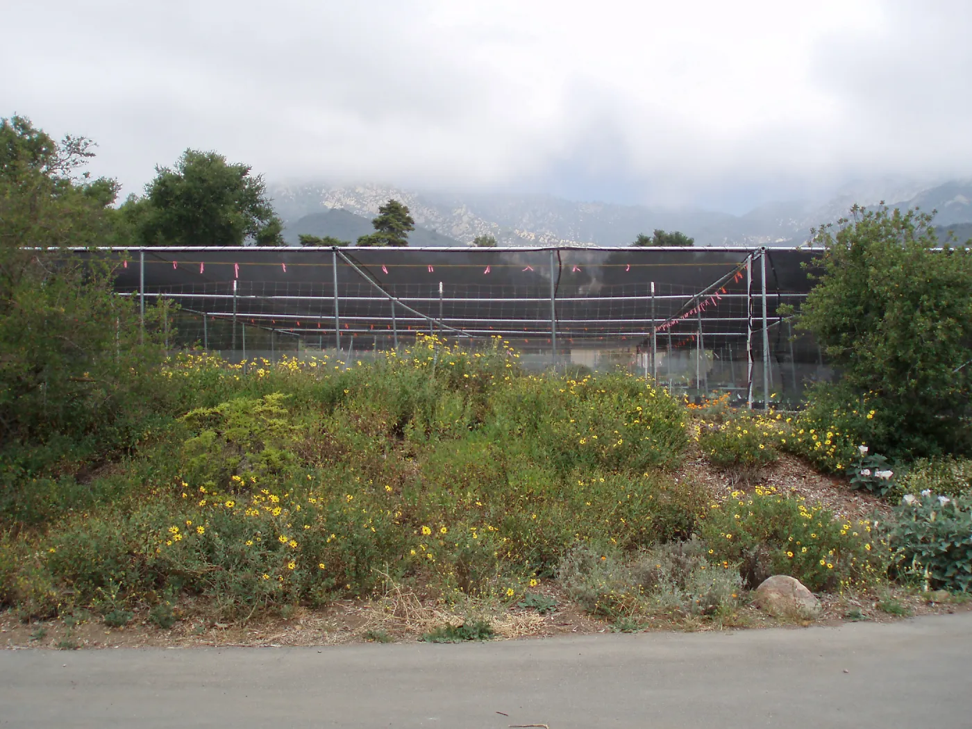Story Poles in Garden Growers Canyard, Vital Mission Plan