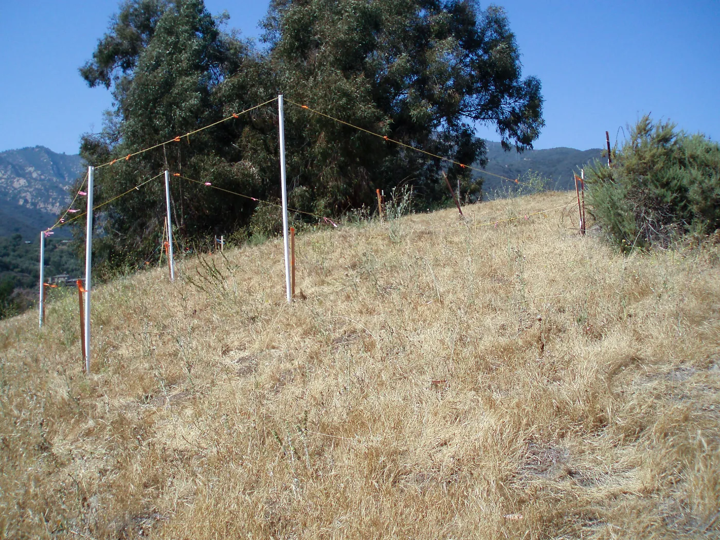 Story Poles, Cavalli Property, Vital Mission Plan