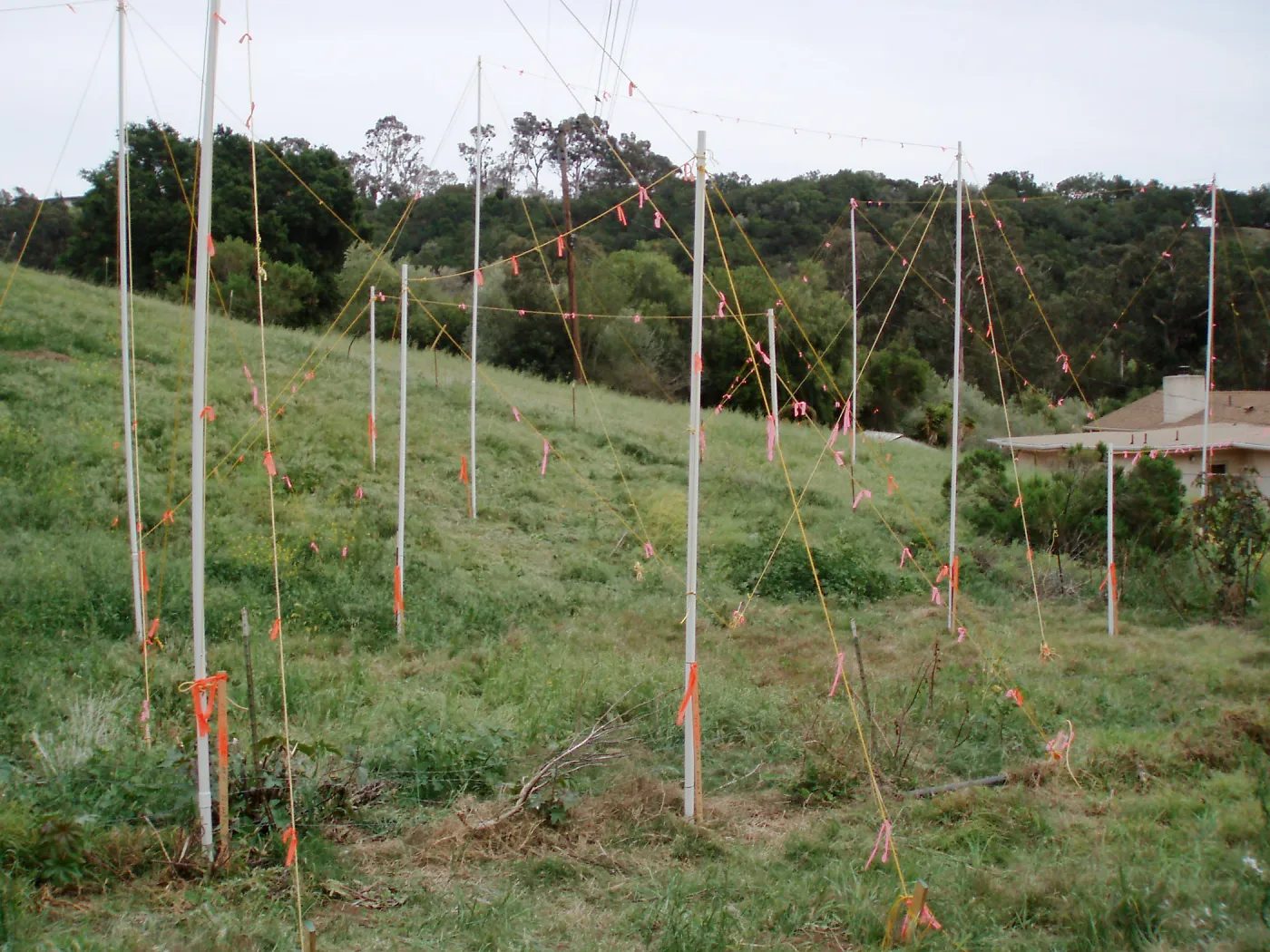 Story Poles at Cavalli Property, Vital Mission Plan
