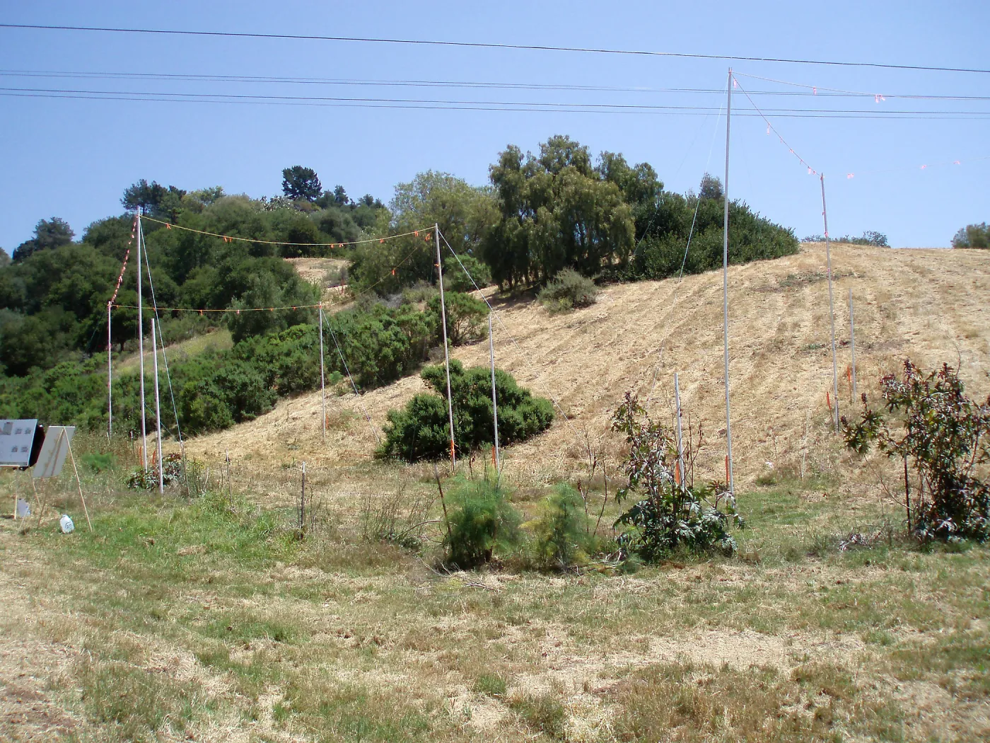 Story Poles, Cavalli Property, Vital Mission Plan
