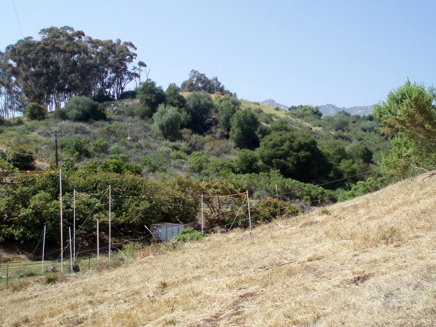 Story Poles, Cavalli Property, Vital Mission Plan