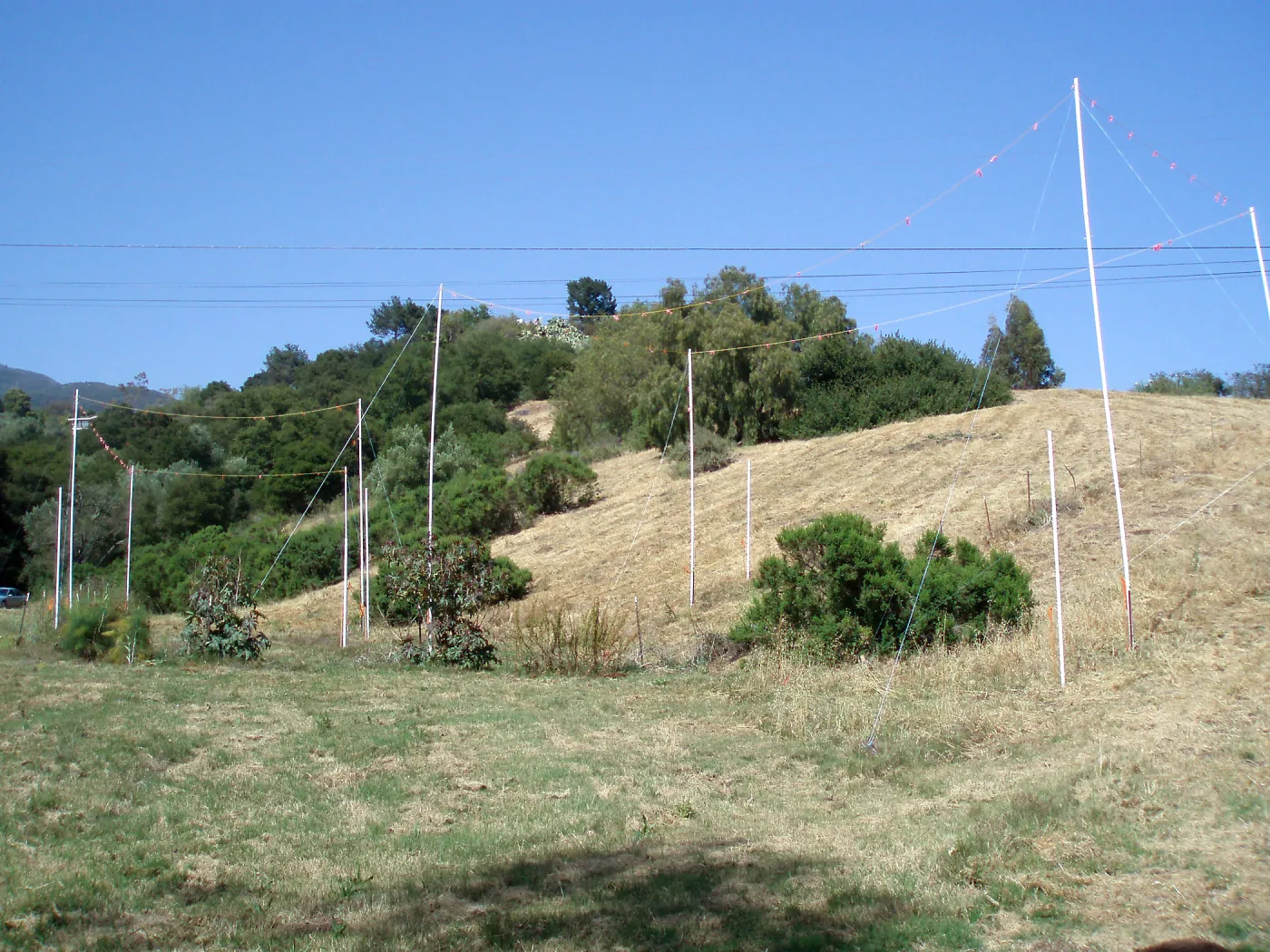 Story Poles, Cavalli Property, Vital Mission Plan