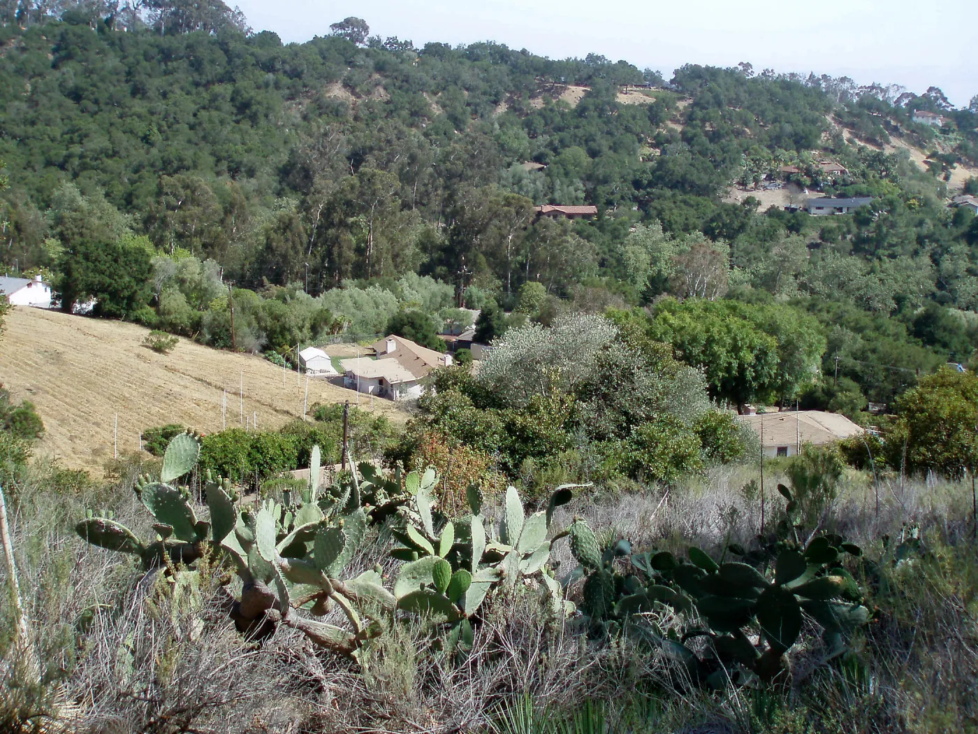 Story Poles, Cavalli Property, Vital Mission Plan