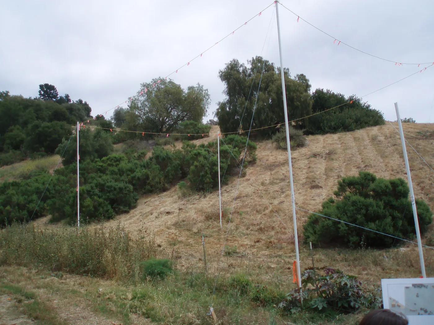 Story Poles at Cavalli Property, Vital Mission Plan