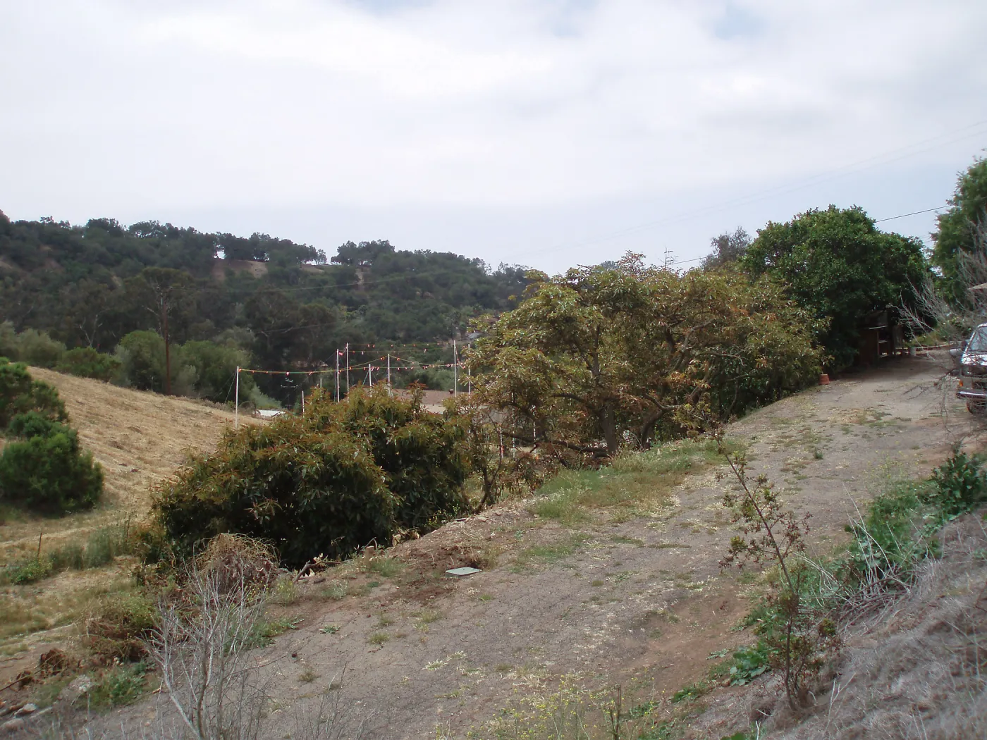 Story Poles at Cavalli Property, Vital Mission Plan
