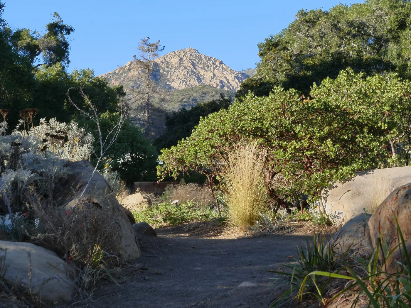 Looking north across Manzanita section towards Arlington Peak