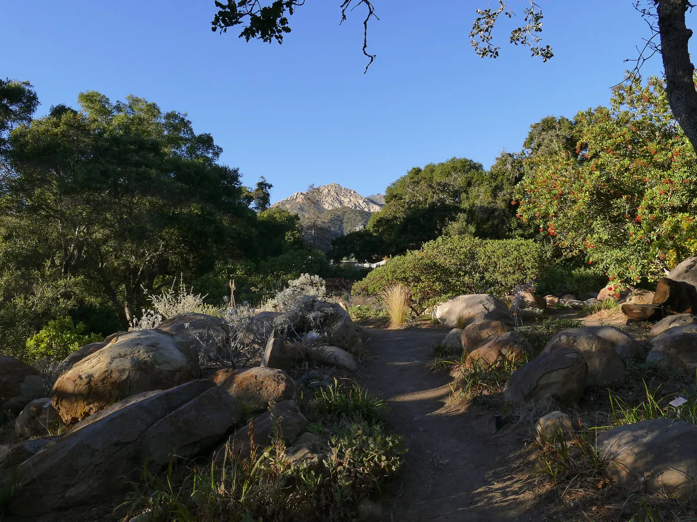 Looking north across Manzanita section towards Arlington Peak