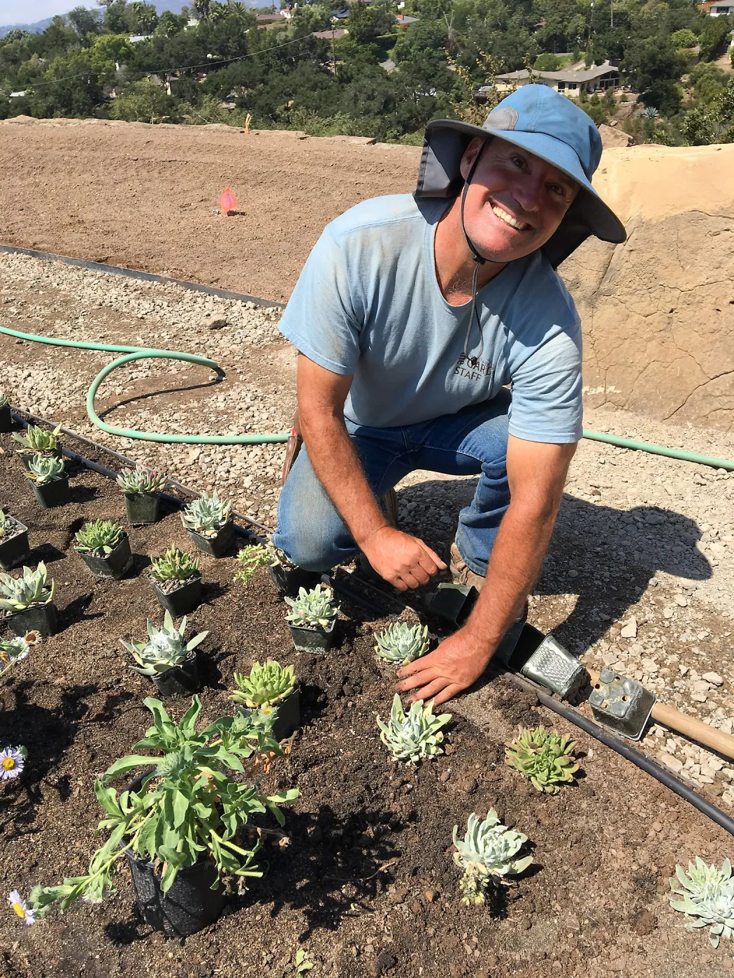 Planting the Island View Garden around the new lawn. Tony Lee