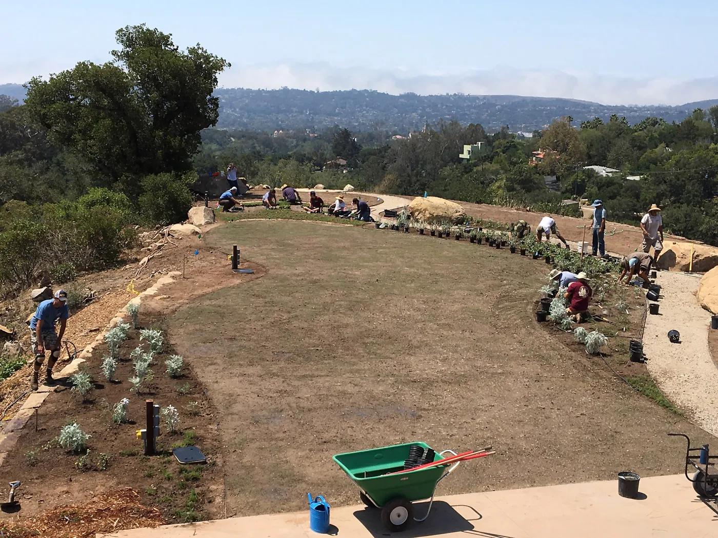 Planting the Island View Garden around the new lawn