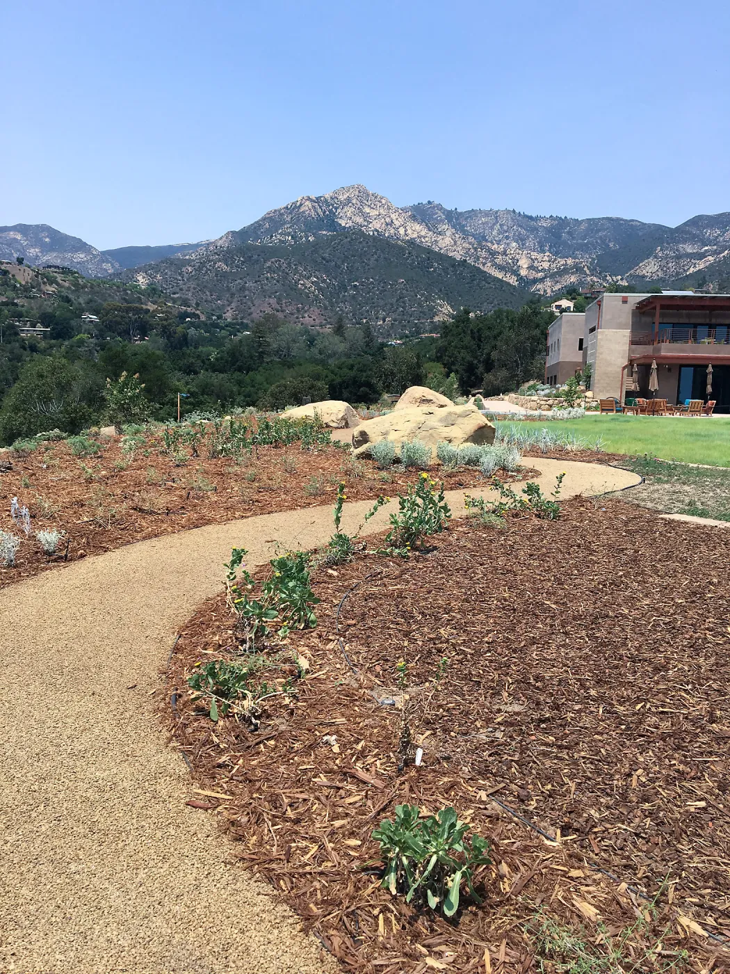 Island View Garden