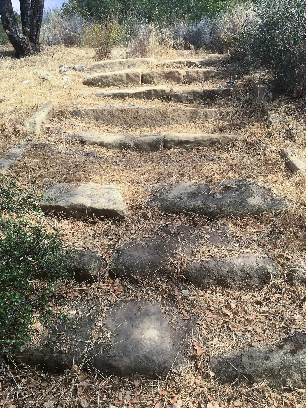 Before reconstruction of stairs down south slope of Island View Garden