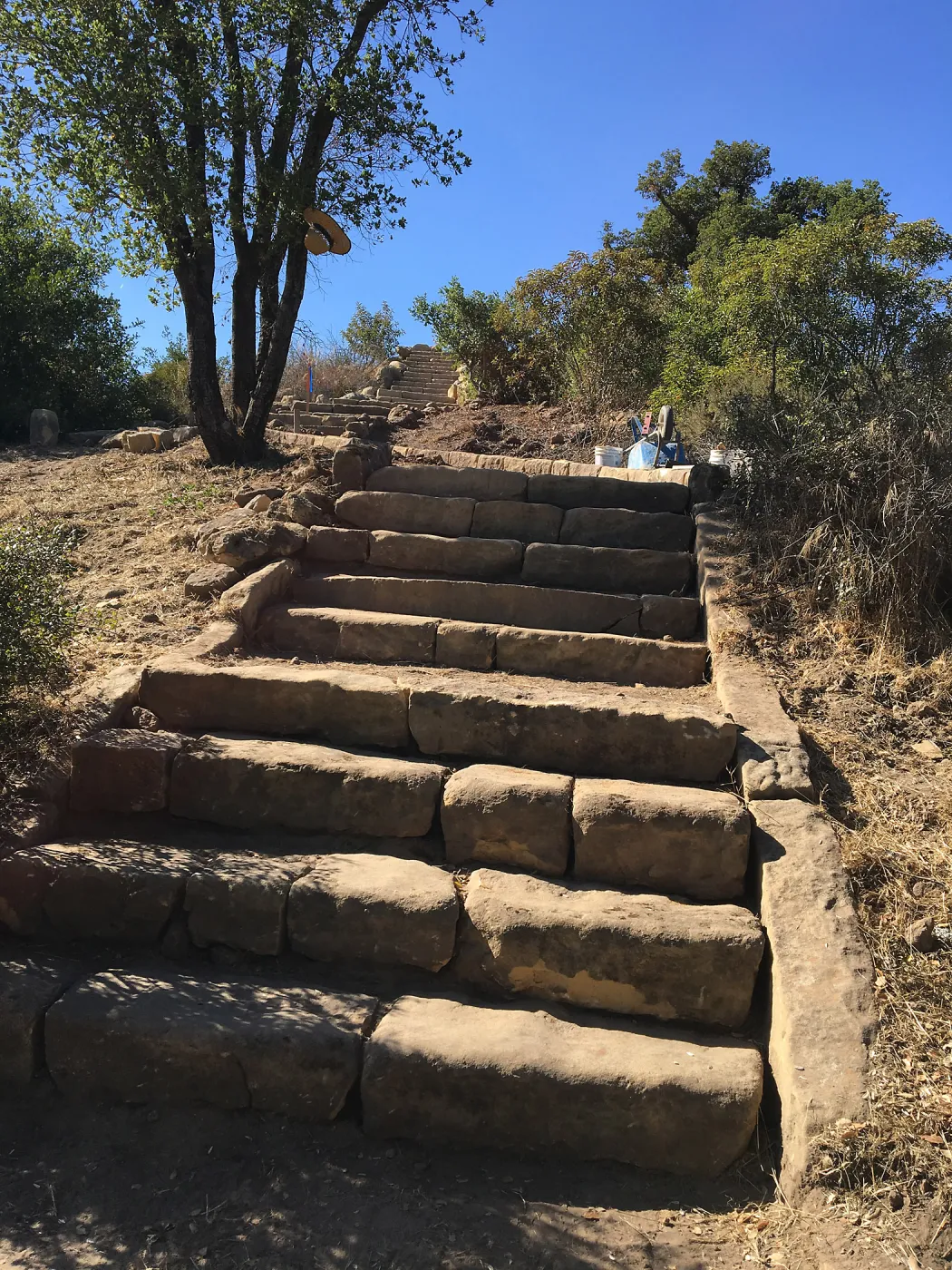 Reconstructed stairs down south slope of Island View Garden