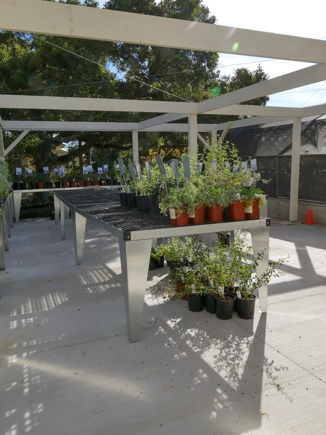 New shade structure at Garden Growers Nursery